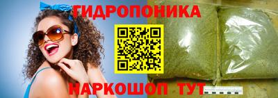 крисы Краснодар
