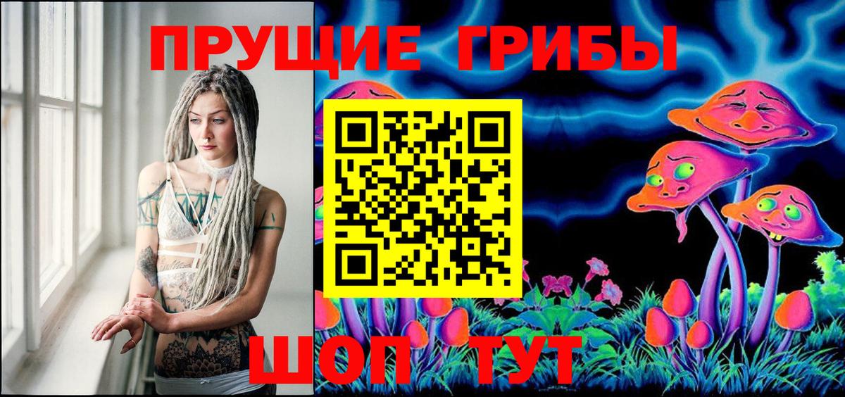 Галлюциногенные грибы прущие грибы  Псилоцибиновые грибы Psilocybe  где можно купить наркотик  Вход с VPN  Казань 